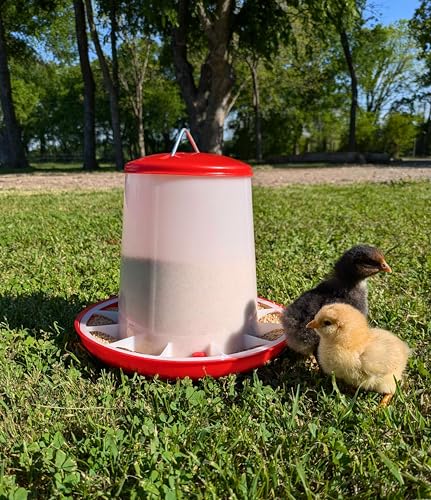 Large Chicken Feeder 5-Pound Capacity for All Poultry | Durable Feeding Container with Carrying Handle for Chickens, Ducks, Turkeys, Quail, Baby Chicks, Turkeys and More - size: 5 Pounds