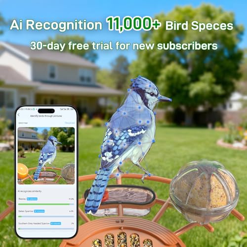Smart Bird Feeder with 2K Camera: Wireless Wild Bird Feeder Solar Powered