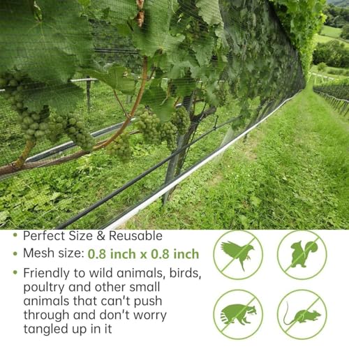 13x32FT Garden Bird Netting, Anti Bird Netting for Fruit Trees, 0.8" Mesh | Bird Netting for Garden, Netting for Garden Protection, Deer Netting, Deer Fence for Garden, 50 Cable Ties