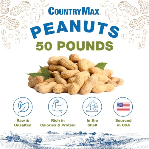 CountryMax Backyard Seeds 50 Pounds Peanuts in Shell - size: 50 Pound (Pack of 1), style: Raw In-Shell