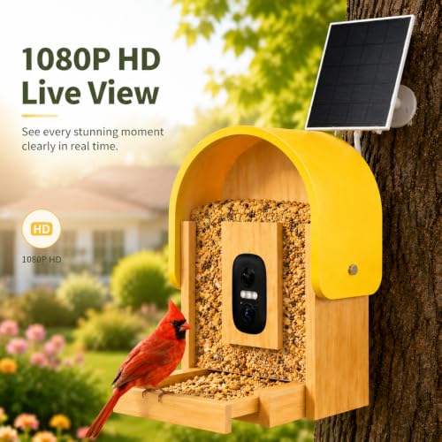 Smart Bird Feeder Camera, 2K HD Solar Powered, AI Bird ID, 2.4GHz WiFi | Solar smart bird feeder with 2K camera, AI bird recognition, app alerts, 2.7L capacity and natural bamboo design.