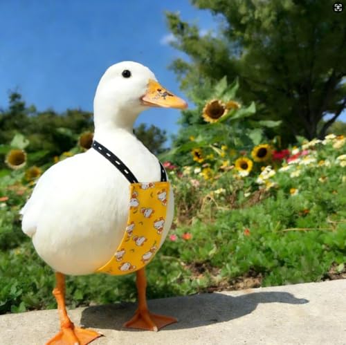 Chicken Diapers for Hens, Roosters, Diapers for Ducks, Ducklings, Reusable Pet Diaper with Bow Ties Waterproof Poultry Nappies for Geese Pet Ducks-White Duck,M - size: M
