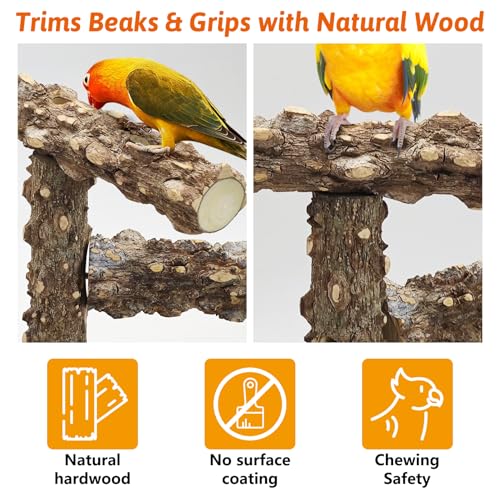 BNOSDM Portable Bird Perch Stand with Potty Tray, Natural Wood Tabletop Training Gym Parrot Playground Toy for Budgies, Cockatiels, Lovebirds,Conures Canaries - color: Three Levels Bird Stand