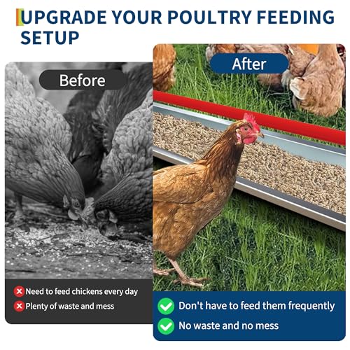 45" Chicken Trough Feeder, 5 Gallon Galvanized Steel Feed Trough with Drainage Holes & Red Crossbar | Heavy Duty, Rust-Proof Metal Duck Chicken Feeder Red - color: Red