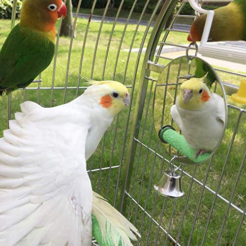 Hypeety Bird Mirror Toy with Bells Cage Hanging Mirror for Parakeets | Clear acrylic mirror with 1 bell, with protective film, easy to hang, fun swing toy, for parakeets/cockatiels/finches/conure
