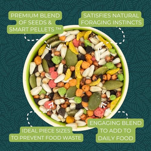 ZuPreem Sensible Seed Cockatiel & Conure Food, Variety Mixer, Medium, 2 lb | Bird Food Mixer, Cockatiel Food, Conures, Lovebirds, Quakers, Pellet Mix, Pumpkin Seeds, Safflower, Smart Pellet, Made in USA - size: 2 Pound (Pack of 1)
