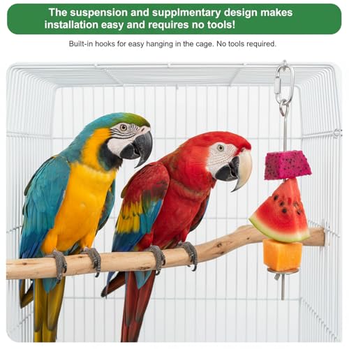 2 Pcs Birds Cage Food Holder with Hook, Budgie Cage Accessories Bird Fruit Feeder Vegetable Stainless Steel Birds Feeder Hanging Foraging Toy for Cages Macaw Parakeet Parrot (2 Sizes 11 and 9.1 inch)