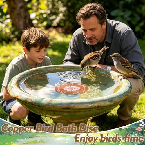 2 Pcs Copper Bird Bath Disc, Solid Copper Disk for Bird Bath, Sunflower Bird Bath Copper Disk, Natural Water Purifier for Outside Bird Bath All-Season - color: Sunflower