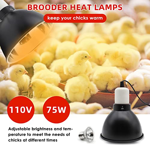 Chick Feeder and Waterer Kit with 75W Heat Lamp, Chick Perch, Flip Top Poultry Feeder, Baby Chick Starter Kit for Chick Brooder, Baby Chicken Supplies for Baby Chick, Duck and Quail - color: Chick Feeder and Waterer Kit With 75w Heat Lamp