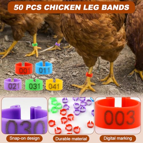 4 Pack Chicken Saddle for Hens, Adjustable Hen Apron with Elastic Straps for Poultry Back Protector, Waterproof Chicken Aprons Vest Jacket for Feather Loss & Mating, 50 Foot Rings