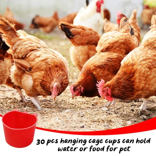 30 Pcs Chicken Coop Feeder Water Cup,8 oz Cage Cups Chicken Feeder Waterer, Cage Cups Birds Hanging Feeders, Chicken Feeder Water Bowl for Parakeet Poultry Pigeon Bunny Wire Cage (Red) - color: Red, size: 8oz