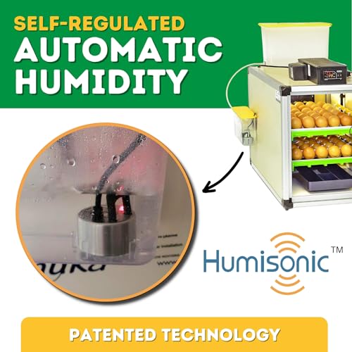 Incubators for Hatching Eggs – 60 Egg Incubator Setter & Hatcher with Automatic Turner & Digital Humidity Control Cabinet, Compact Chicken Incubator & Quail Egg Incubator by Hatching Time - size: 60 Eggs, style: Egg Incubator and Hatcher