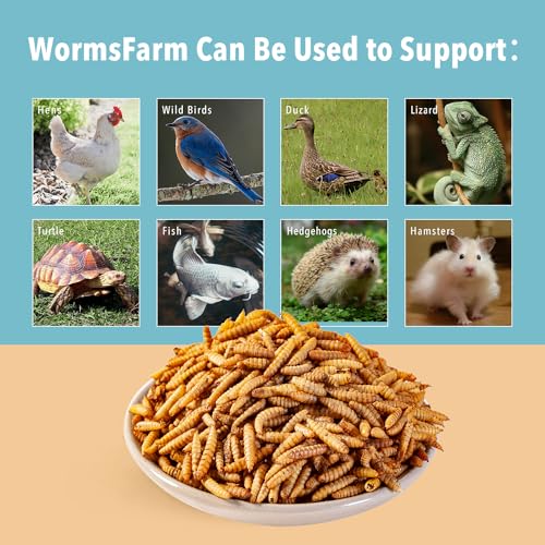 WormsFarm 11LB Dried Black Soldier Fly Larvae,Chicken Feed More Calcium Than Mealworms for Chickens,Laying Hens,Blue Birds | Treats for Wild Birds,Laying Hens,Chicken Feed - size: 11 Pound (Pack of 1)