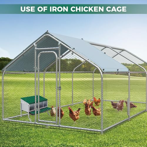 Garvee 4-Hole Rollaway Chicken Nesting Box for Hens –Chicken Nest Box with Removable Trays, Easy Egg Collection & Cleaning, Wall Mount or Freestanding, Sturdy Chicken Laying Boxes, Green - color: Green-4 grids with legs