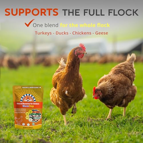 WormStop Natural Chicken Dewormer Powder – All-Natural Herbal Blend for Daily Wellness - Chicken Wormer is Safe for Eggs & All Ages - Garlic, Pumpkin Seed, Wormwood - USA (8 oz)