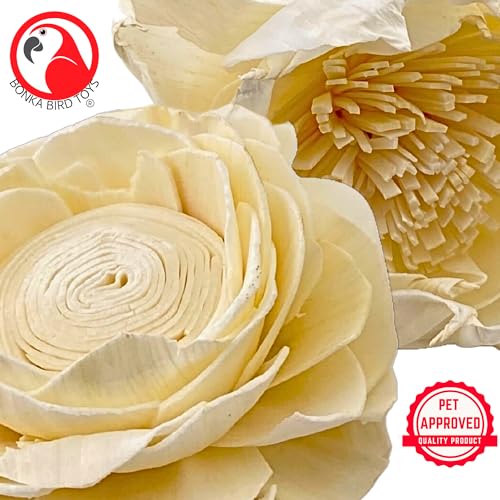 Bonka Bird Toys 3604 PK6 Sola Flower Foot Talon Craft Part Bird Toy Natural Foraging Chew Health Treat for Small to Medium Sized Birds and Other Small Pets