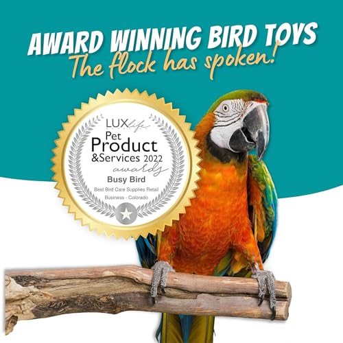 Bird Toys for Large Birds (Blue Spinner) Stainless Steel Bird Toy with Traveling Spinner | Macaw Toys | Durable Puzzle Enrichment Toy for Medium to Large Birds Cockatoos Parrot | Bird Cage Accessories - color: Spinner - Blue Flamed