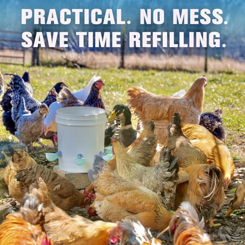 (4 Pack) Chicken Water Cups Feeder, Automatic Chicken Waterer, Anti-Leak System, Holds 50% More Water, Suitable for Chicks, Chicken, Duck, Quail, Turkey - size: 4