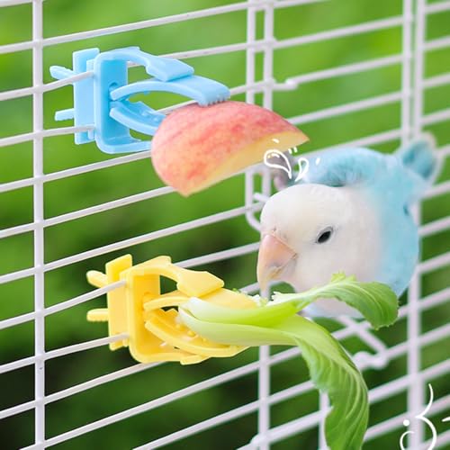 Parrot Fruit Vegetable Clip Feeder with Stable Cage Holder Durability for Bird Snacks