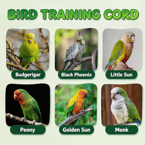 Bird Leash, 3-Meter Long, with Size 4 Foot Loop for Small Budgie and Lark, Lightweight Training Lead for Outdoor Use