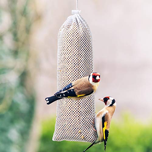 Weewooday 6 Pieces Finch Sock Feeder, Thistle Seed Sock Bird Feeder, Instant Seed Bag Hanging Bird Feeders for Outdoors Garden Yard Wild Birds, 4.7 x 11 Inch (White) - color: White