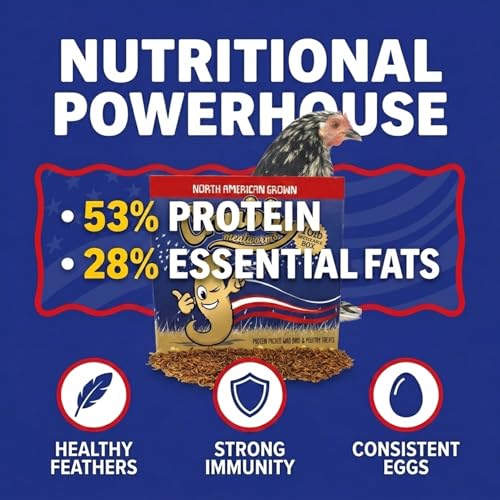 Chubby North American Grown Dried Mealworms | 10 lbs | Non-GMO High-Protein Treats for Chickens, Ducks & Wild Birds – Sustainable Chicken Feed - size: 10Lbs