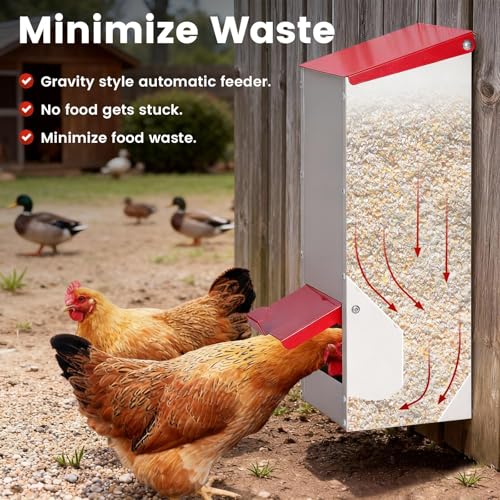 8Lbs Metal Chicken Feeder with Lockable Feed Door | Quail Feeders No Waste, Wall Mounted Poultry Feeder, Gravity Fed, Galvanized Steel Material, for Chicken Coop