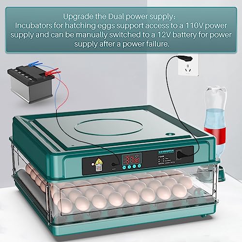 Automatic Egg Incubator 12-38 Egg Digital Poultry Hatcher Machine ith Automatic Egg Turning, Temperature & Humidity Control, Efficient LED Lighting for Chicken Geese Ducks Pigeons Quails (38 Eggs) - style: 38 Eggs