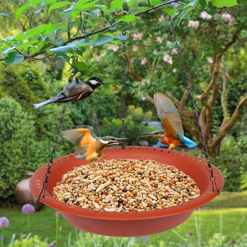 Hanging Bird Feeder Tray 10inch with Drainage Holes Fit Most Seed, Bird-Feeder Hanging for Garden Yard Outside, Terracotta - color: Terracotta, size: 10 inch