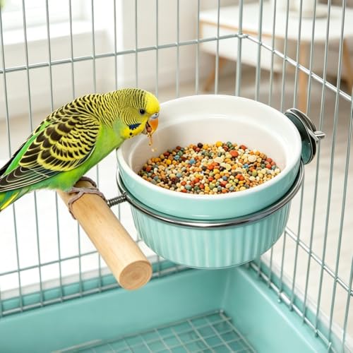 Ceramic Bird Cage Bowl with Stainless Steel Rack Holder, Hanging Anti-Tip Feeding Cup, Secure Mount Food & Water Dish for Parrots, Cockatiels, Parakeets, Small to Medium Pet Birds