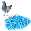 8mm Pigeon Leg Bands 0-100 Numbers Chicken Identification Leg Bands for Bantam Finch Dove Lovebird Coturnix Quail (Blue) - color: Blue