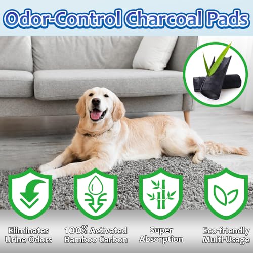 Dogcator Charcoal Dog Pee Pads Extra Large 28“x34”, Puppy Pads XL 30 Count, Potty Pads for Dogs, Disposable Urine Bed Pads for Odor-Control, X-Large Piddle Underpads, Training Liners for Housebreaking - size: 28"x34"-30 Count