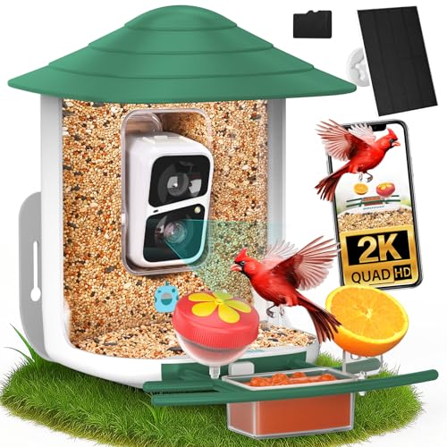 birdsnap® TUC Bird Feeder with Camera Solar Powered 2K Video with 32GB Card | AI Bird Species Identification, Squirrel-Proof, IP65 Waterproof, Outdoor Wireless, 2.4G WiFi, Gift for Mom Dad Bird Lovers - color: Yellow