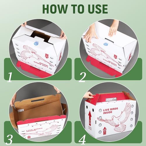 15 Pack Single Live Chicken Shipping Boxes 17.5 x 8.5 x 11.5" Live Bird Shipping Boxes Cardboard Pet Carrier with Handle for Poultry, Pigeons, & Canaries(Red) - color: Red