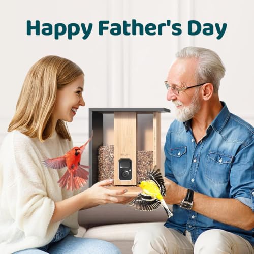 NETVUE by Birdfy Bamboo Bird Feeder with Camera Solar Powered,2K Live Stream&Lifetime AI Bird Identification&Motion Detection,birdswatching Ideal Bird Feeder Gift for Moms and Bird Lovers - style: AI Permanent Service