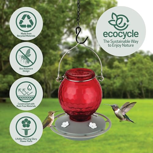 Crimson Comb Recycled Glass Hummingbird Feeder for Outdoor Décor, 16 Ounce Capacity Nectar Feeder, 4 Removable Easy Clean Ports, Red - style: Crimson Comb