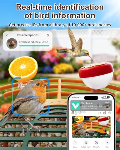 Smart Bird Feeder with Camera, Solar Powered, 2K HD, Night Vision | Watch birds in stunning 2K, receive app alerts, enjoy wireless setup, solar charging and reliable IP66 outdoor durability - color: Green, size: With Stand