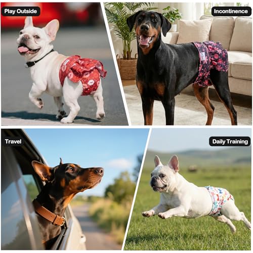 Female Dog Diapers Reusable No Tail Hole Period Panties Washable Diapers Female for Docked-Tail Frenchie French Bulldog Boston Terrier Without Tail (2 Pack Regular+2 Pack Skirts) U-WWDQB06L - size: L(Waistline:20"-27")