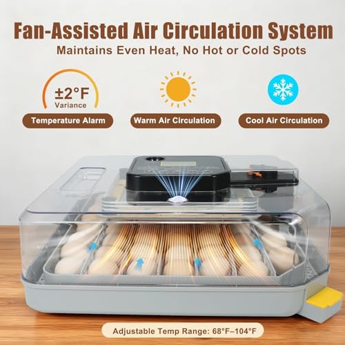 Nest IV - 48 Egg Incubator for Breeders, Fully Automated, Accurate Humidity & Temp Control, Chick Separator, Flexible Egg Spacing, Custom Incubation Days, Auto Turning & Auto Stop, Easy Monitoring - size: 48 Egg [Black]