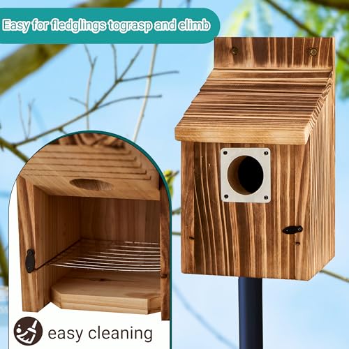 2 Pack Bird Houses for Outside, Outdoors Birdhouse Feeder for Bluebird,Cardinal,Purple Martin and Sparrow,Wooden Cedar Hanging Birds Nest,Easy to Clean,No Assembly Needed - style: Box