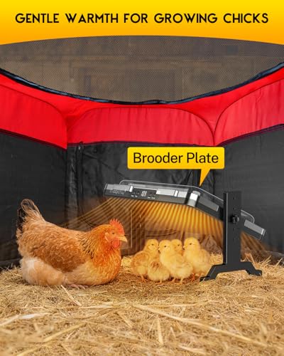 Magicfly Brooder Plate for Chicks, 200W Radiant Brooder Heating Plate | 11" x 15" Chicken Coop Heater for 20 Chicks, Digital Temp & Timer, with Remote Control & Cover for Ducklings, Quail