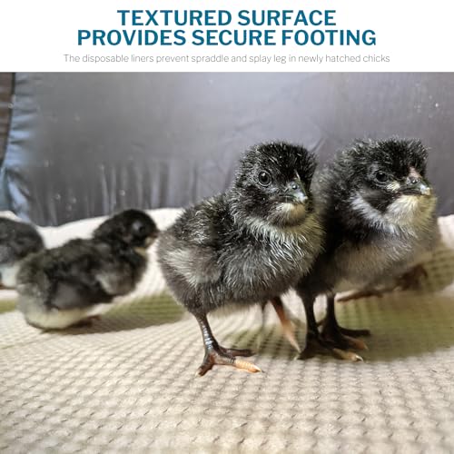Insta Brooder™ for Hatchlings, Chicken Pop Up Playpen, 10.5 x 10 x 4 inches