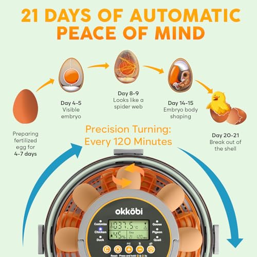 Egg Incubator with Automatic Egg Turning and Humidity Control – 12 or 20 Egg Incubator for Hatching Eggs – incubadora de huevos de gallina – Smart Temp Adjust – Candling Lamp