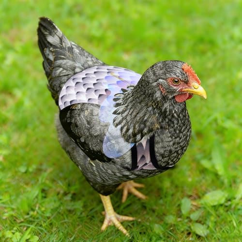 Chicken Saddles for Hens with Detachable Wings, Adjustable Hen Apron Back Protector for Feather Recovery, Double-Layer Breathable Poultry Saver for Standard Breeds (White) | Double-Layered Breathable Poultry Back Protector For Hens During Mating And Feath