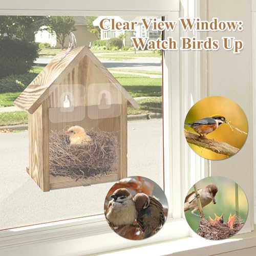 GUTE Bird House Window Mount Clear Viewing Acrylic Wall Shelter | Transparent Viewing,Slide-Out Cleaning Panel,Weatherproof Construction,Easy Wall/Tree Mount,For Bluebirds/Wrens/Chickadees