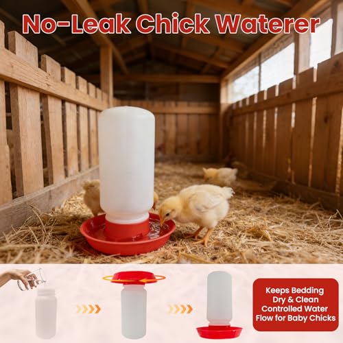 Chick Feeder & Waterer Starter Kit with 2 Trough Feeders and Roost Bar – No-Leak Baby Chick Waterer and Feeders Set for Chicks, Ducklings, Quail & Small Poultry – Essential Brooder Supplies
