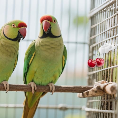 6 Pack Bird Cage Food Holder Bird Cage Clips Parrot Fruit Vegetable Clips White Cages Feeder Clip for Cockatoo Cockatiel Budgie Parakeet Macaw Conure