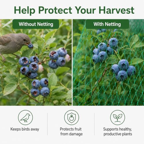 Garden Netting, 6.8 x 16.4 FT Bird Netting for Garden Plant Protection, Reusable Fine Mesh for Fruit Trees, Vegetable Plants, Blueberry Bushes, Raised Beds, Chicken Coop (6.8x16.4ft) - size: 6.8X16.4FT