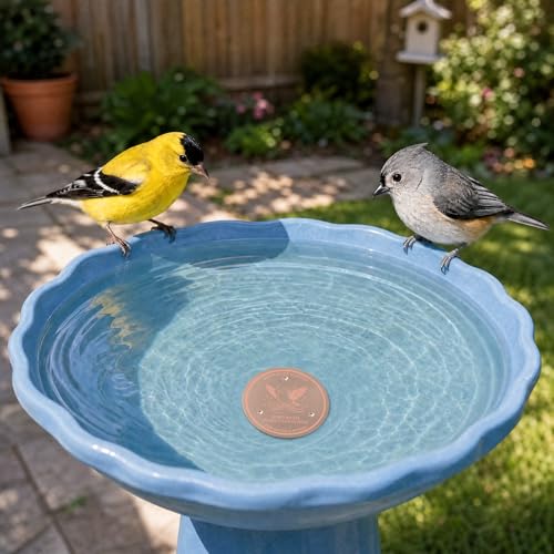 Bird Bath Copper Disk 99.9% Pure Copper Release Cu Clean Water Outdoor Disc | Diameter 4", 0.6mm Triple-Point, Release Boost Cu+, All-Season Purification, Outdoor Bowl Birdbath, Garden Backyard Disc - color: Pure Copper Disk