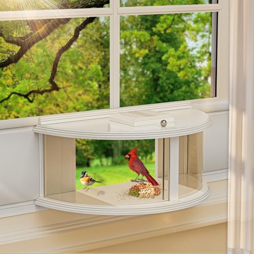 Window Bird Feeder for Viewing, 180° Extra Large Capacity Clear View Window Tray Bird Feeder, Fits Windows 31-41" Wide, Durable, Elegant, Window Bird Feeder Inside House - Best Gifts for Bird Lovers